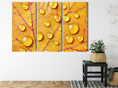 Ljuddämpande tavla - Water drops on an autumn