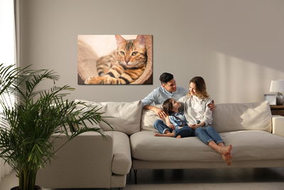 Ljuddämpande tavla - Bengal cat