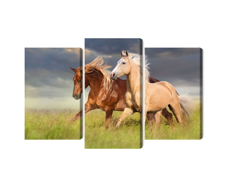 Ljuddämpande tavla - Horses galloping in a 3d