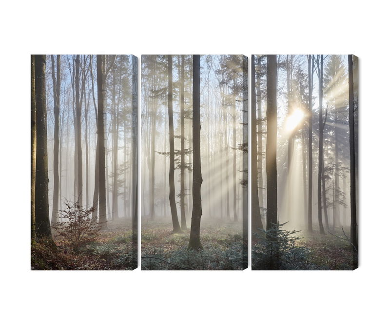 Ljuddämpande tavla - Sunrise in the woods