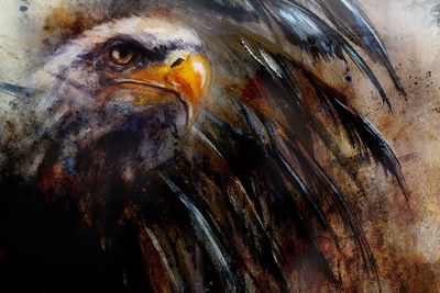Ljuddämpande tavla - Eagle as painted