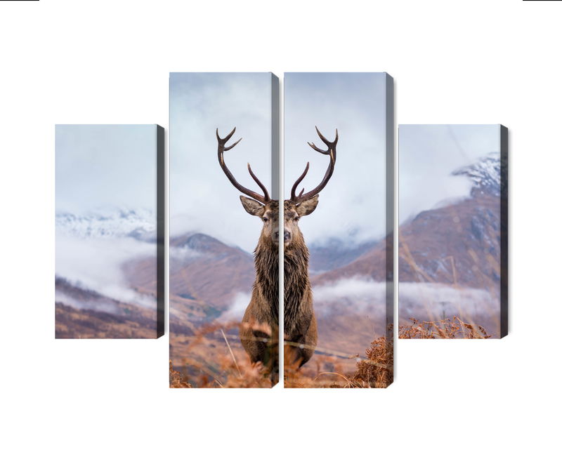 Ljuddämpande tavla - A deer on a background