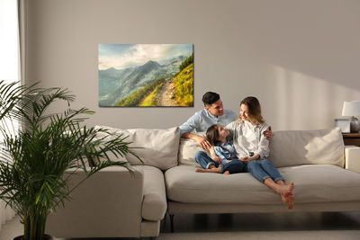 Ljuddämpande tavla - The path in the mountains