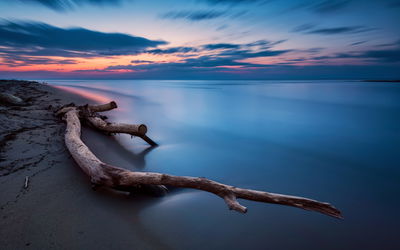 Ljuddämpande tavla - The sea landscape at evening