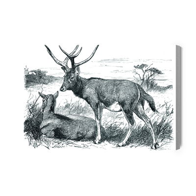 Ljuddämpande tavla - Sketch with deers