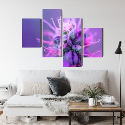 Ljuddämpande tavla - Macro plant on a pink-purple