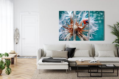 Ljuddämpande tavla - Ladybug on a dandelion