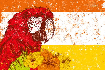 Ljuddämpande tavla - Macaw parrot with flowers