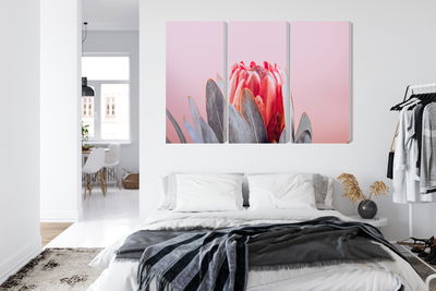 Ljuddämpande tavla - Flower of the royal protéa