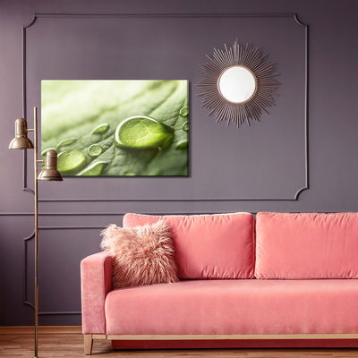 Ljuddämpande tavla - Water drops on a green leaf