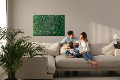 Ljuddämpande tavla - Trees in the carpathians