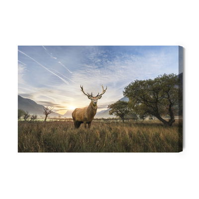 Ljuddämpande tavla - Deer on the background