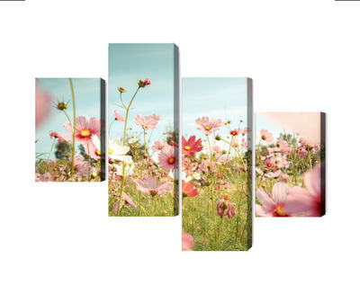 Ljuddämpande tavla - Cosmos flowers in the garden