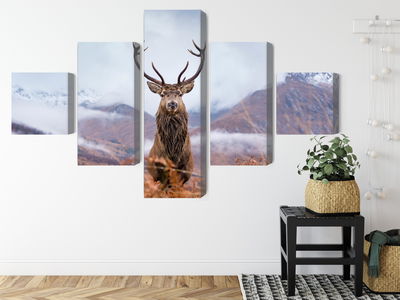 Ljuddämpande tavla - A deer on a background