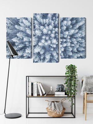 Ljuddämpande tavla - Aerial view of the winter