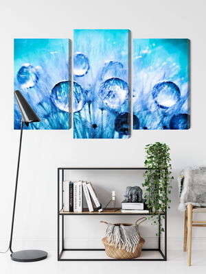 Ljuddämpande tavla - Dew drops on dandelion seeds