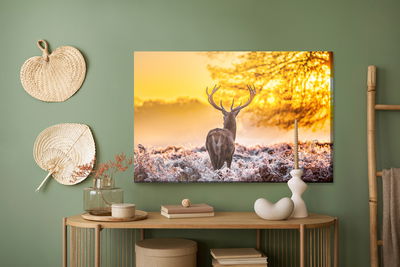 Ljuddämpande tavla - Deer at sunrise