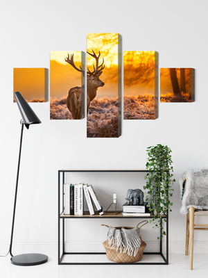 Ljuddämpande tavla - Deer in the forest at sunset