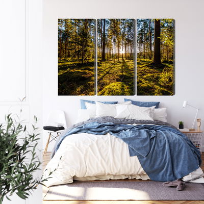 Ljuddämpande tavla - Morning sun rays