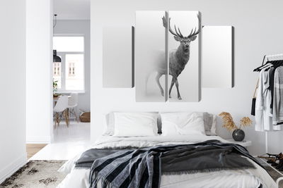 Ljuddämpande tavla - A stately deer in the fog