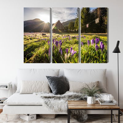 Ljuddämpande tavla - Chocholowska valley