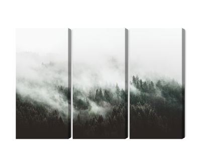 Ljuddämpande tavla - Misty 3d forest landscape