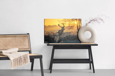 Ljuddämpande tavla - Deer in the morning