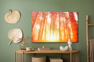 Ljuddämpande tavla - Dawn in a beautiful forest