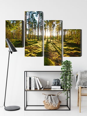 Ljuddämpande tavla - Forest landscape with sunset