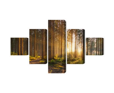 Ljuddämpande tavla - Sunset in the forest