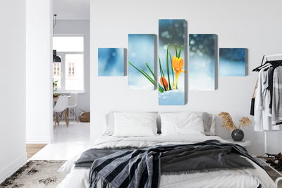 Ljuddämpande tavla - Yellow crocuses breaking