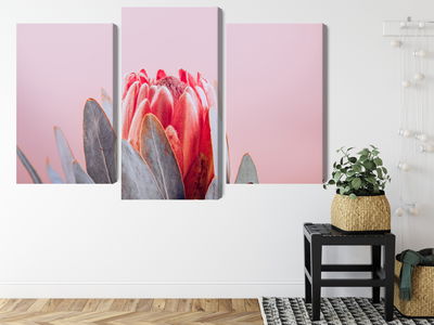 Ljuddämpande tavla - Flower of the royal protea