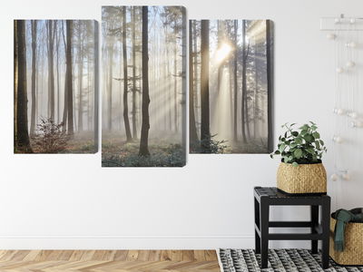 Ljuddämpande tavla - Sunrise in the woods