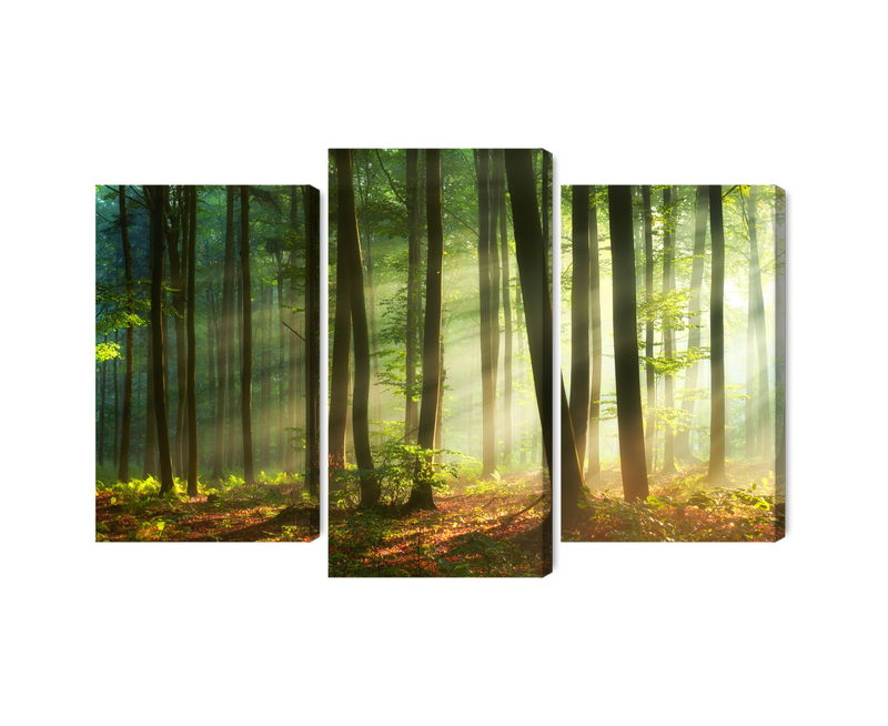 Ljuddämpande tavla - The rays of the sun