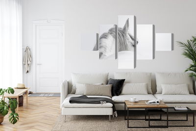 Ljuddämpande tavla - Andalusian horse in the fog