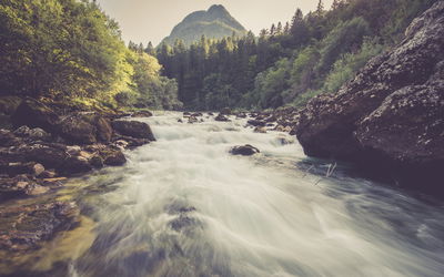 Ljuddämpande tavla - Mountain river in the forest