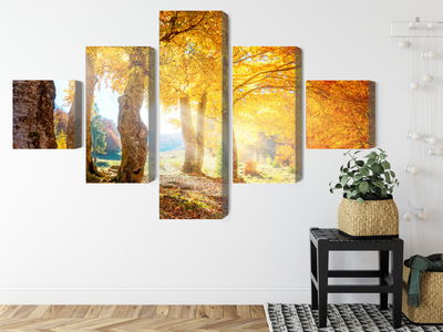 Ljuddämpande tavla - Sunny autumn forest