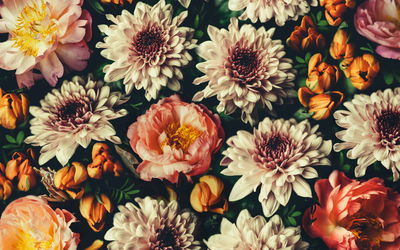 Ljuddämpande tavla - Variety of colorful 3d