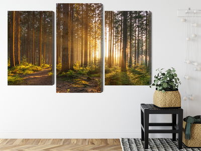 Ljuddämpande tavla - Sunset in the forest