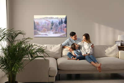 Ljuddämpande tavla - Winter forest in the valley