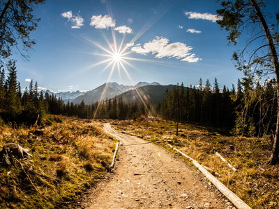 Ljuddämpande tavla - A sunny day in the tatras 3d
