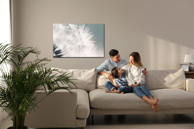 Ljuddämpande tavla - Dandelion seeds