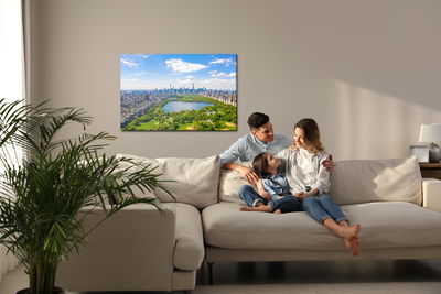 Ljuddämpande tavla - Aerial view of central park