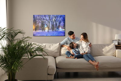 Ljuddämpande tavla - Winter in the park