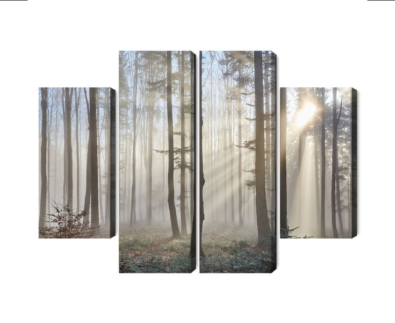 Ljuddämpande tavla - Sunrise in the woods