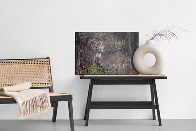 Ljuddämpande tavla - A deer among the forest