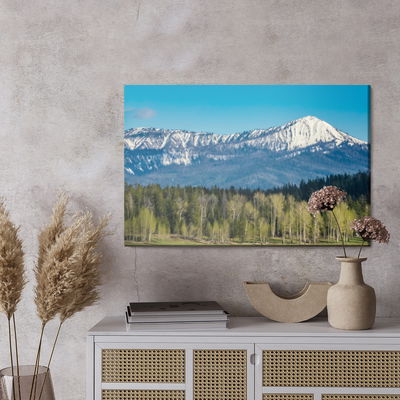 Ljuddämpande tavla - Grand teton national park