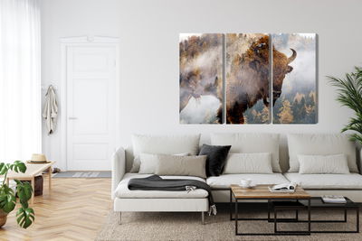 Ljuddämpande tavla - A bison on the background