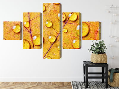 Ljuddämpande tavla - Water drops on an autumn