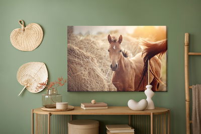 Ljuddämpande tavla - A foal on a background